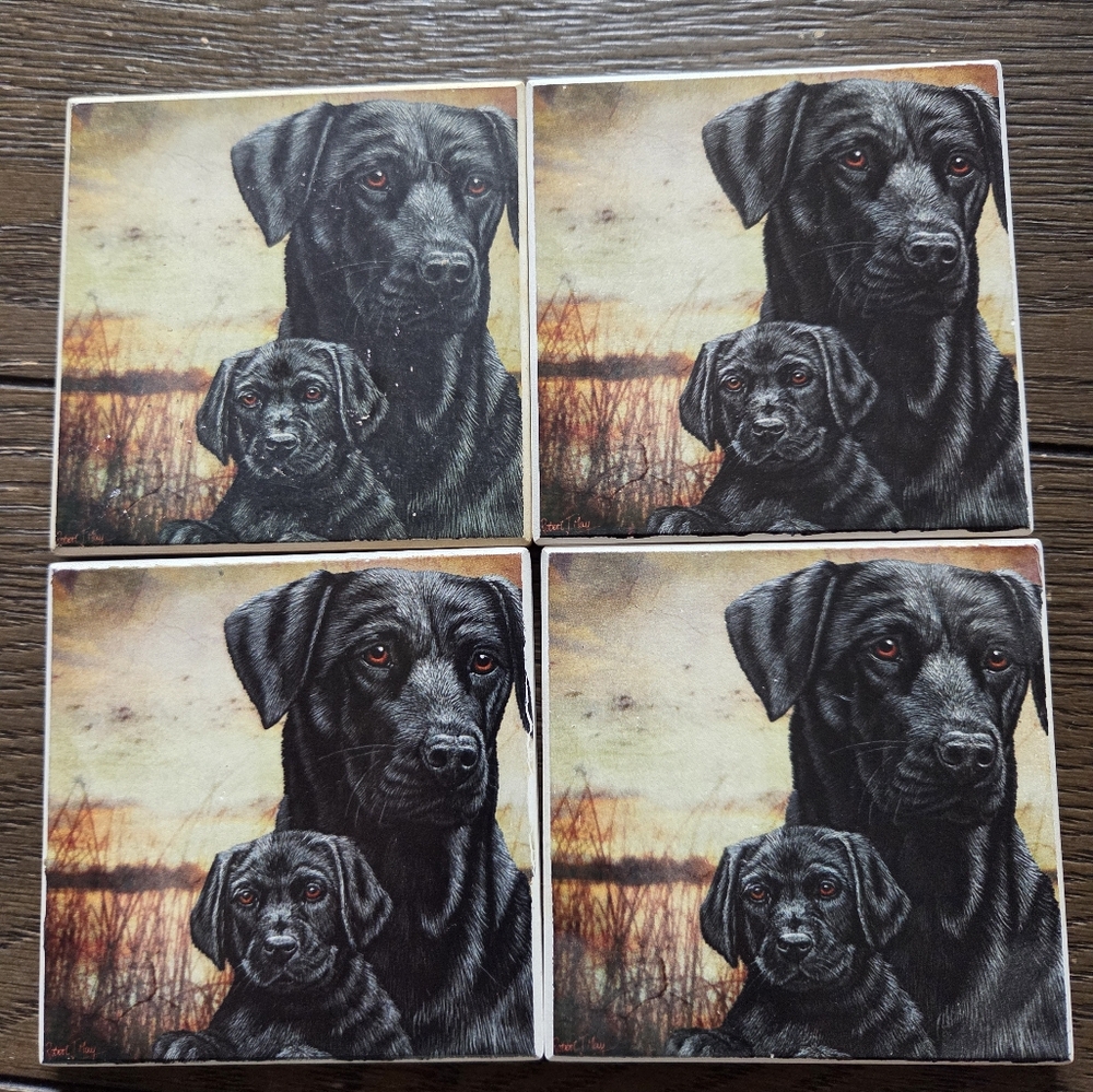 AbsorbaStone Set of 4 Black Labrador Retriever Dogs Absorbent Stone Coasters